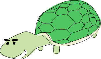 tartaruga???